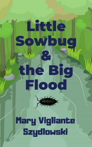 Book cover of Little Sowbug & the Big Flood