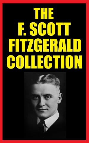Book cover of THE F. SCOTT FITZGERALD