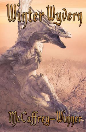Cover of the book Winter Wyvern by Mike Daniels