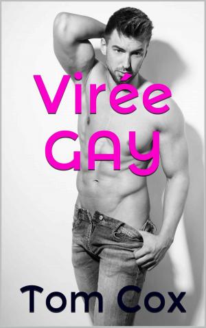 Book cover of Virée GAY