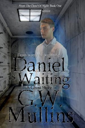 Cover of the book Daniel Is Waiting Extended Edition by Amanda Miga