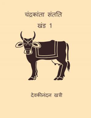 Cover of चंद्रकांता संतति - खंड 1 (Chandrakanta Santati Vol.I) (Hindi Edition)