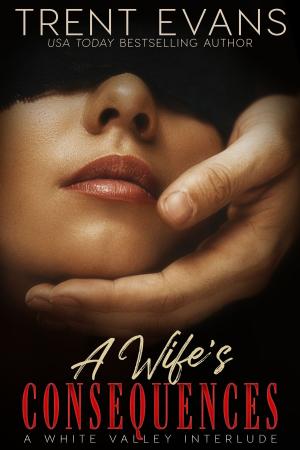 Cover of the book A Wife's Consequences by Trent Evans