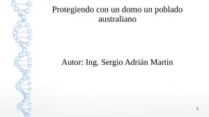 Cover of the book Protegiendo a un poblado australiano by Sergio Martin