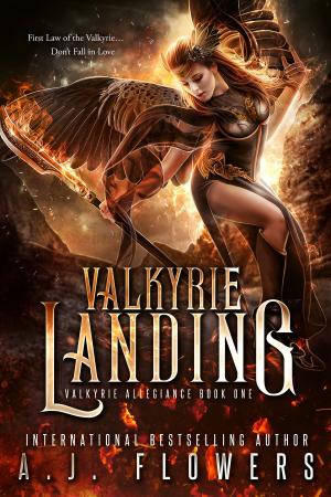 Cover of the book Valkyrie Landing by Globe & Crown