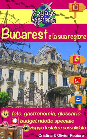 Book cover of Bucarest e la sua regione