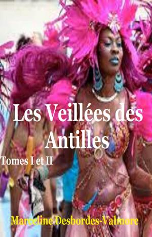 Book cover of Les Veillées des Antilles