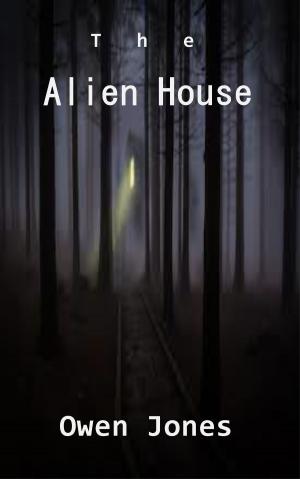 Cover of the book The Alien House by Angela Lockwood