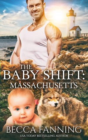 Cover of the book The Baby Shift: Massachusetts by Marla Shin
