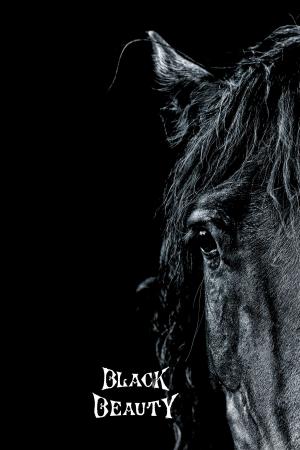 Book cover of Black Beauty