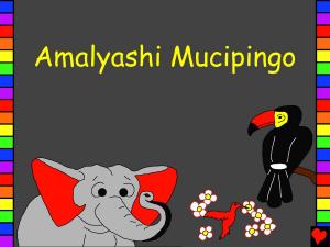 Book cover of Amalyashi Mucipingo