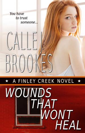 Cover of the book Wounds That Won't Heal by Alexandra Kitty