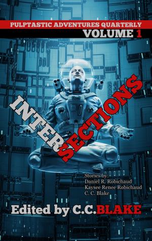 Cover of the book Intersections by J C Allen