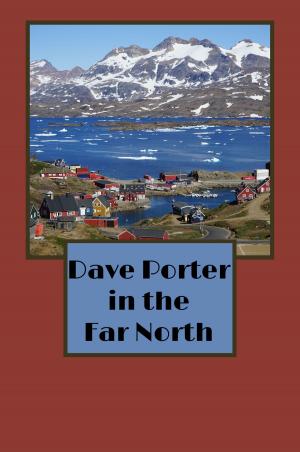 Cover of the book Dave Porter in the Far North (Illustrated) by Edward William Thomson
