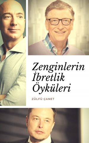 Cover of the book Zenginlerin İbretlik Öyküleri by Christiane Hagn