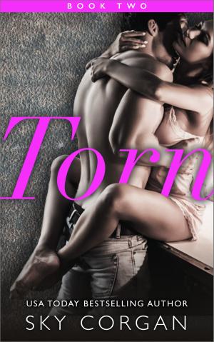 Book cover of Torn - Book Two