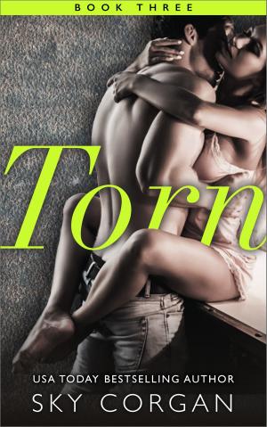 Cover of the book Torn - Book Three by Jean C. Gordon