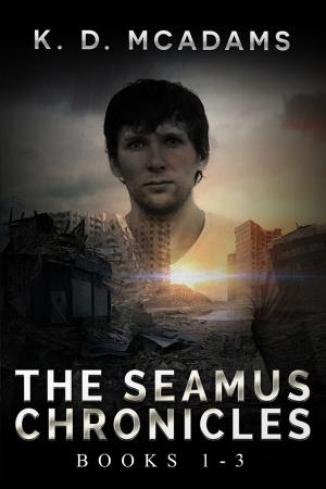 Book cover of The Seamus Chronicles Books 1 - 3