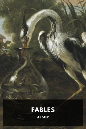 Cover of the book Aesop's Fables by Alexandre Dumas, Standard eBooks
