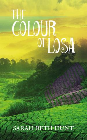 Cover of the book The Colour of Losa by Vito Veii