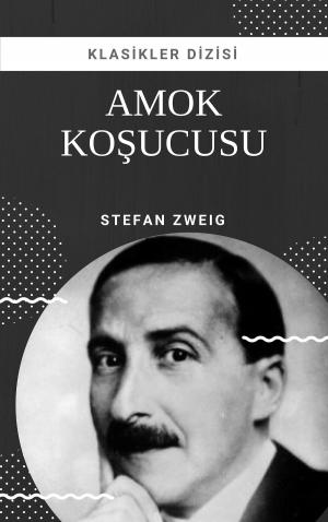 Cover of the book Amok Koşucusu by Franz Kafka
