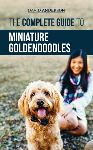 Book cover of The Complete Guide to Miniature Goldendoodles