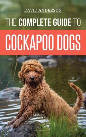 Book cover of The Complete Guide to Cockapoo Dogs