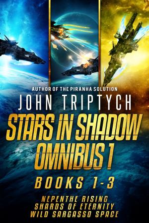 Cover of the book Stars in Shadow Omnibus 1 by L.Steffie