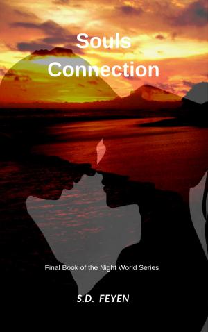Cover of Souls Connection