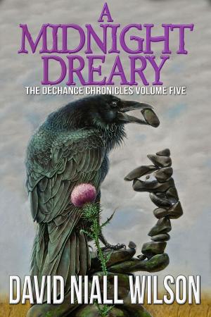Cover of the book A Midnight Dreary by Tim Champlin