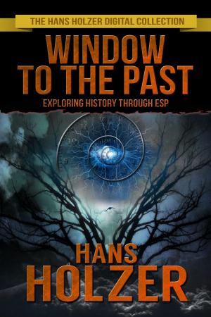 Cover of the book Window to the Past by James Swallow