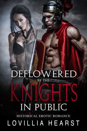 Cover of the book Deflowered By The Knights In Public by Michael Johnson