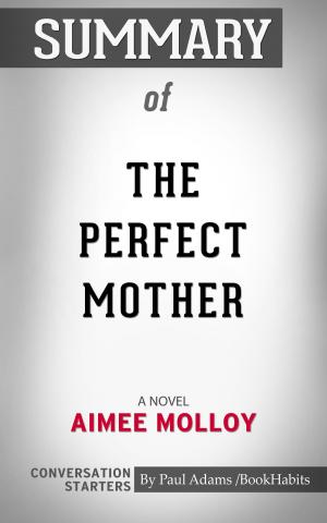 bigCover of the book Summary of The Perfect Mother: A Novel by 