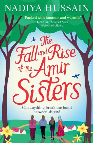 Cover of the book The Fall and Rise of the Amir Sisters by Terry Lynn Thomas