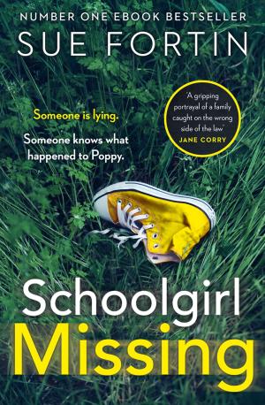 Book cover of Schoolgirl Missing