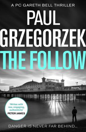 Cover of the book The Follow (Gareth Bell Thriller, Book 1) by Stacy Gregg
