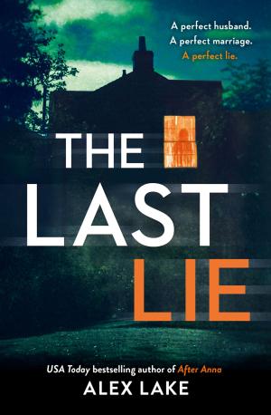 Cover of the book The Last Lie by Eliza Kennedy