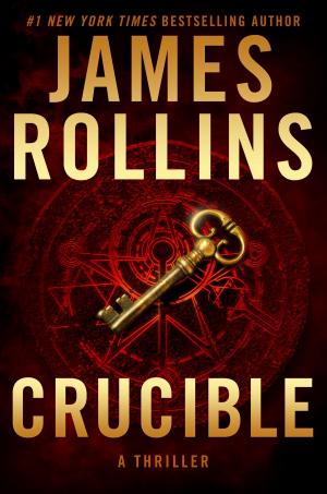 Cover of the book Crucible by Andrew Gross