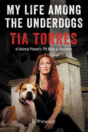 bigCover of the book My Life Among the Underdogs by 