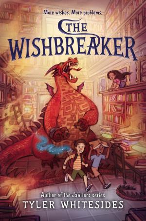 bigCover of the book The Wishbreaker by 