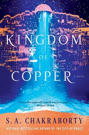 Cover of the book The Kingdom of Copper by Jennifer Estep
