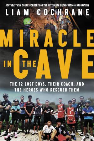 Cover of the book Miracle in the Cave by John Dominic Crossan
