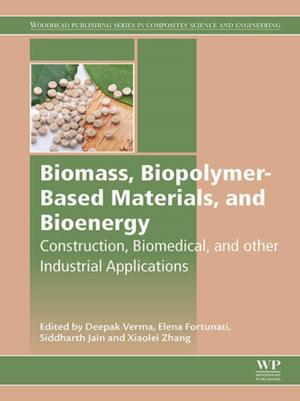 Cover of the book Biomass, Biopolymer-Based Materials, and Bioenergy by 