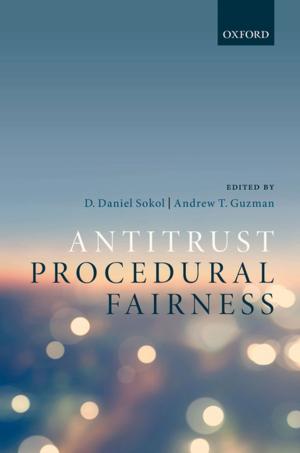 Cover of the book Antitrust Procedural Fairness by Walter Ott