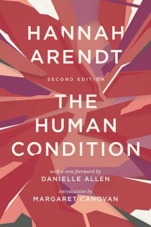 Cover of the book The Human Condition by David Lambert