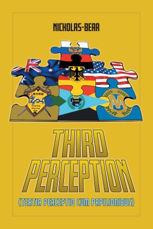 Cover of the book Third Perception by Jared Goldberg