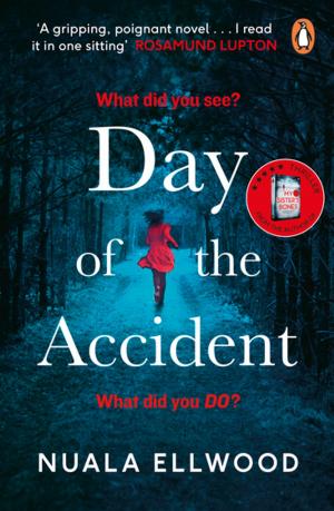 Cover of the book Day of the Accident by Robert F Barker
