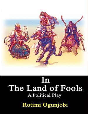 Cover of the book In the Land of Fools by Doreen Milstead