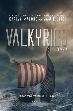 Cover of Valkyrie - tome 2