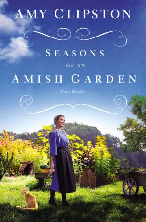Cover of the book Seasons of an Amish Garden by Larry Crabb